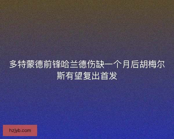 多特蒙德前锋哈兰德伤缺一个月后胡梅尔斯有望复出首发