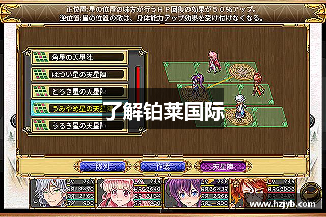 了解铂莱国际